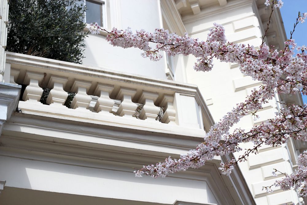  photo Paige Joanna London blossom_zps7oezxgge.jpg