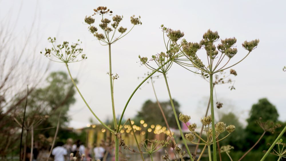 Secret Garden Party Festival 2016 Paige Joanna