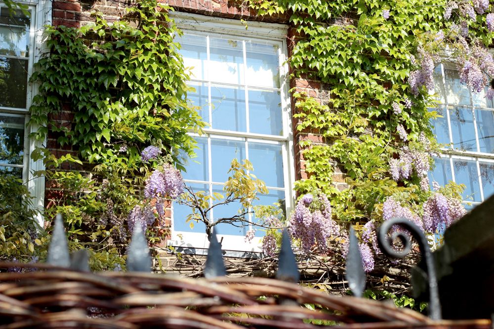  photo Paige Joanna Sugarhill london_zpstxqdpbak.jpg