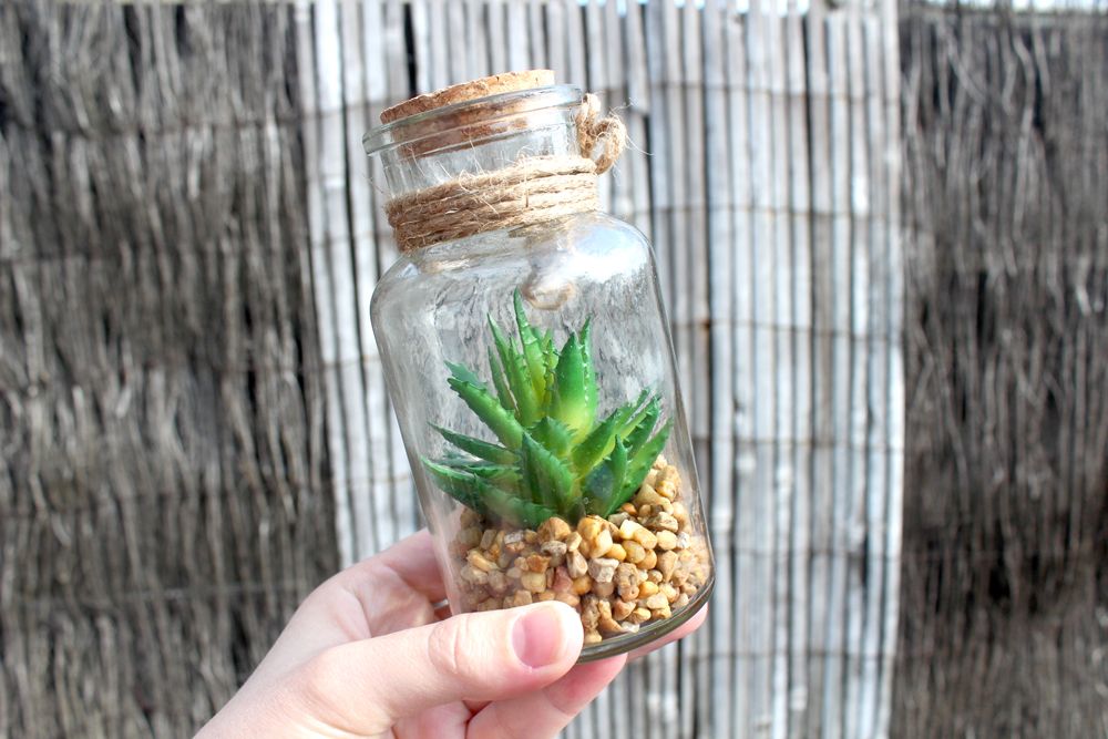 photo Paige Joanna TKMax decor_zpsotfjtgby.jpg