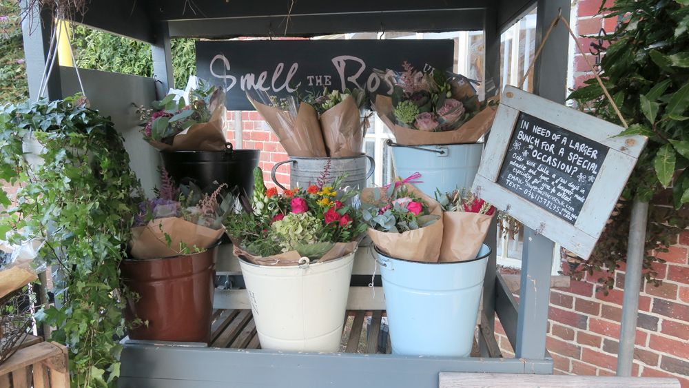  photo Paige Joanna Wickham old barn flowers_zpsrfaftstm.jpg