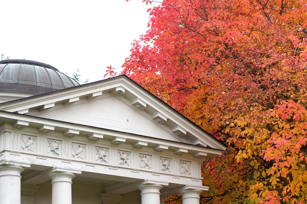 Paige Joanna Kew Gardens