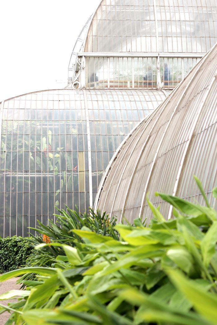 Paige Joanna Kew Gardens