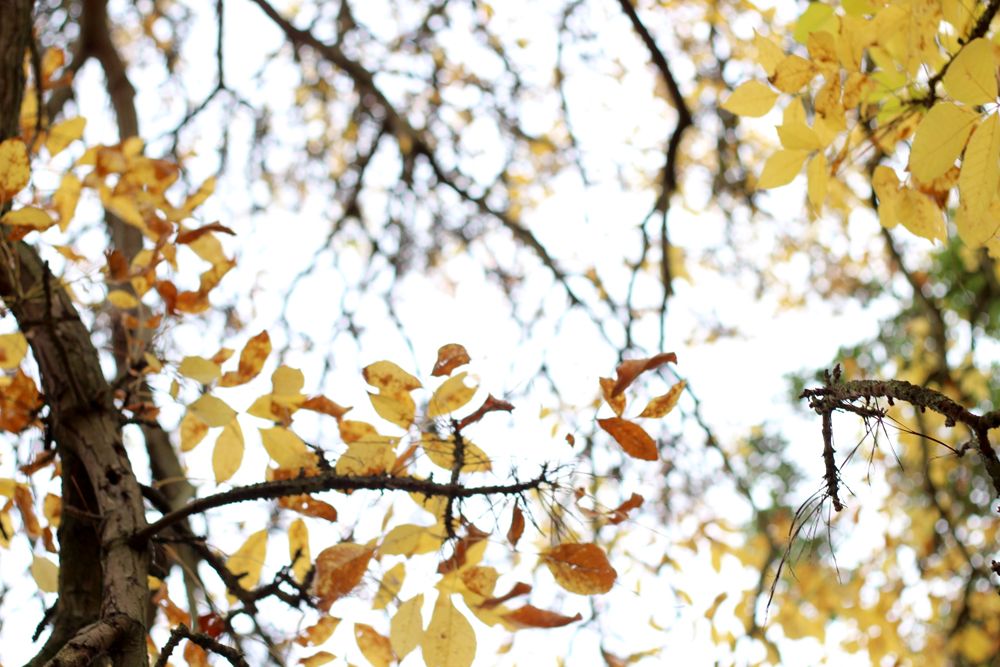 Paige Joanna Kew Gardens