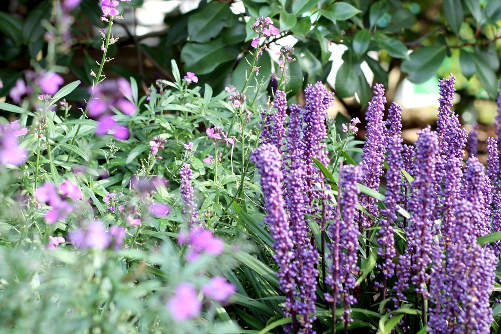 Paige Joanna Kew Gardens