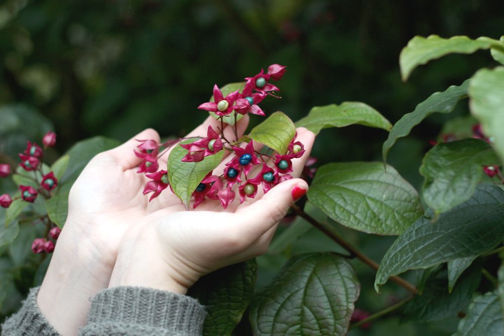 Paige Joanna Kew Gardens
