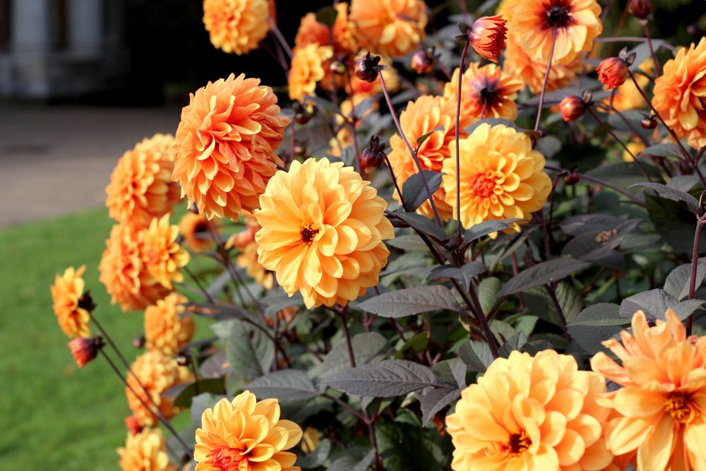 Paige Joanna Kew Gardens