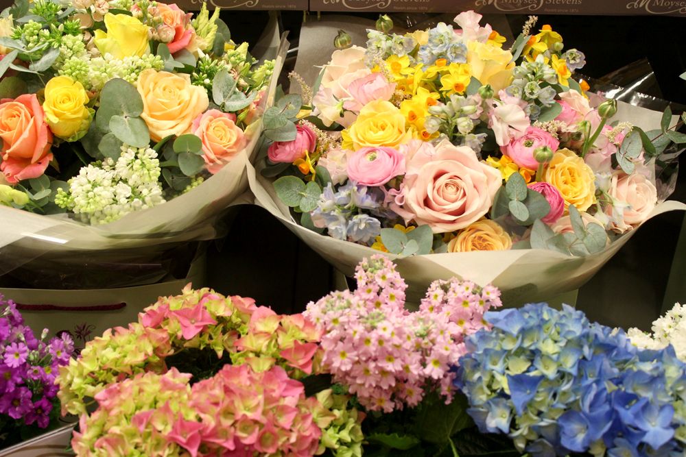  photo paige joanna exploring london flowers_zpsxrlgaxf6.jpg