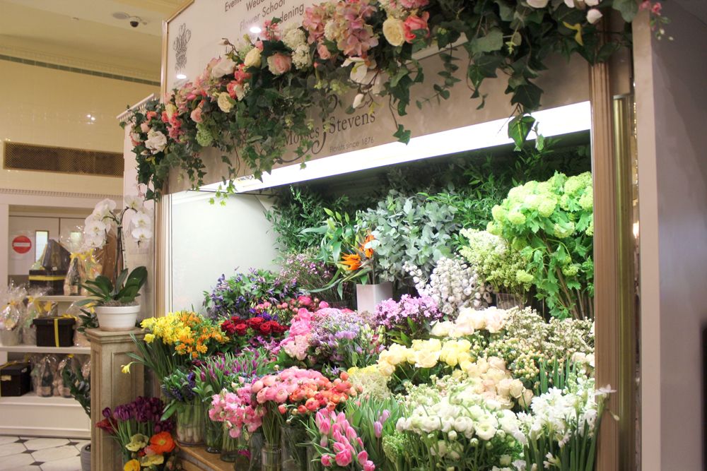  photo paige joanna exploring london harrods flower_zpsvvwwtwg0.jpg
