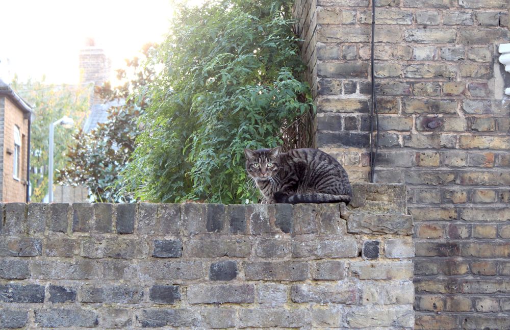  photo paige joanna primark jumper 2_zpsus3hnpn5.jpg