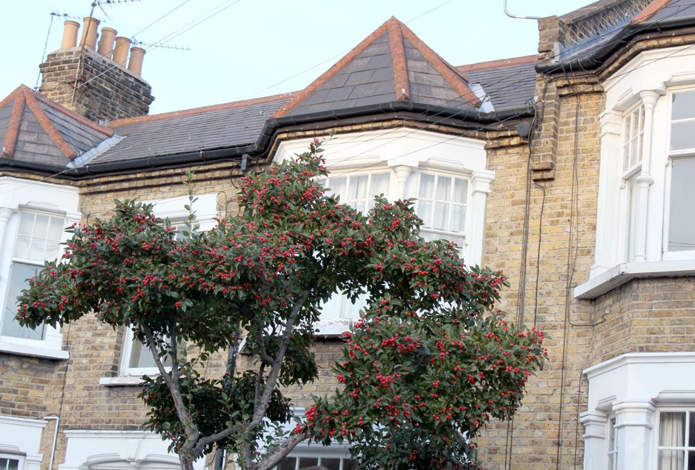  photo paige joanna primark jumper 5_zpspba7bnpr.jpg