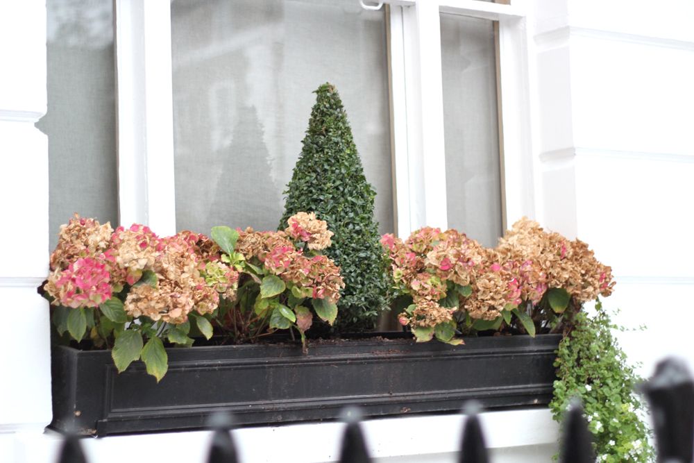  photo paige joanna south kensington london window_zpsgs0kdyls.jpg