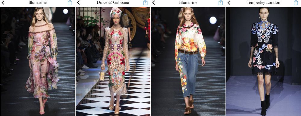 photo paige joanna spring 16 botanical florals and embellishments_zpsrynvfubf.jpg