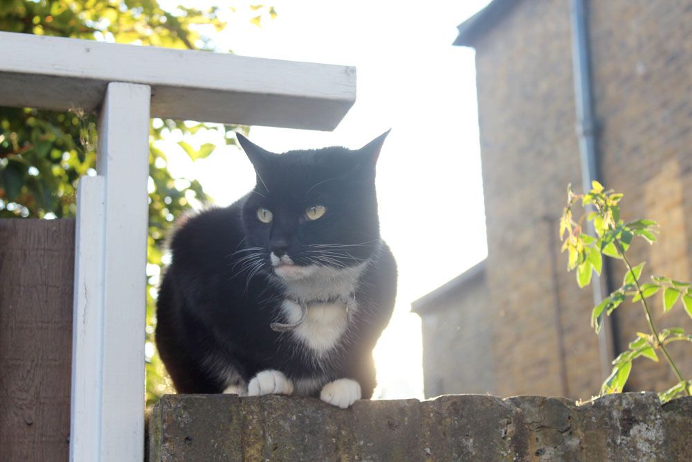  photo paige joanna coast outfit 1_zpsinxzwawo.jpg