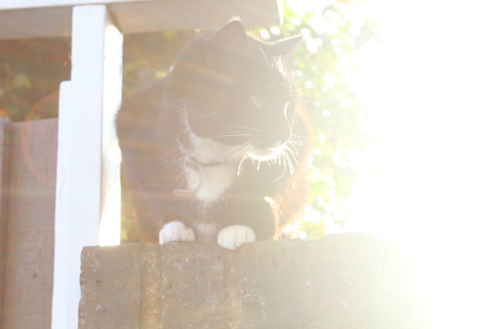  photo paige joanna coast outfit 2_zpsbgluafge.jpg