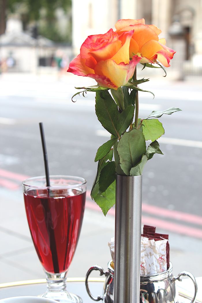  photo paige joanna london guide cafe close up_zpsk4j66fic.jpg