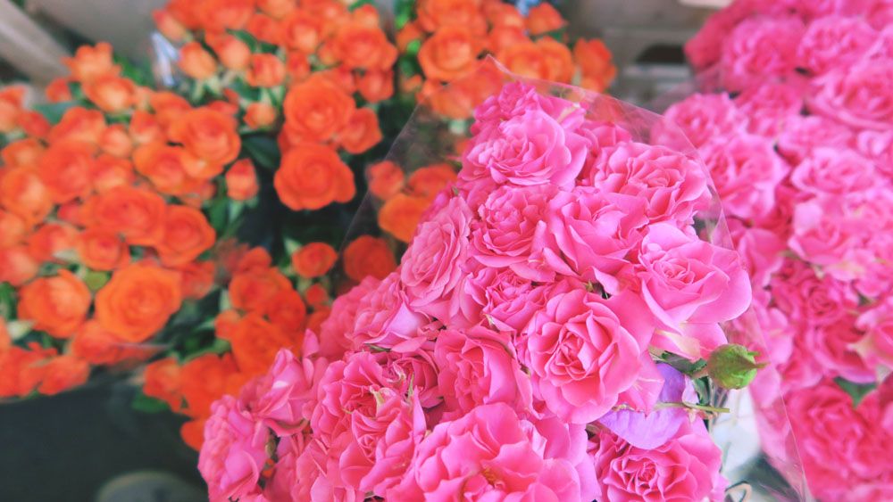 Columbia Road Flower Market