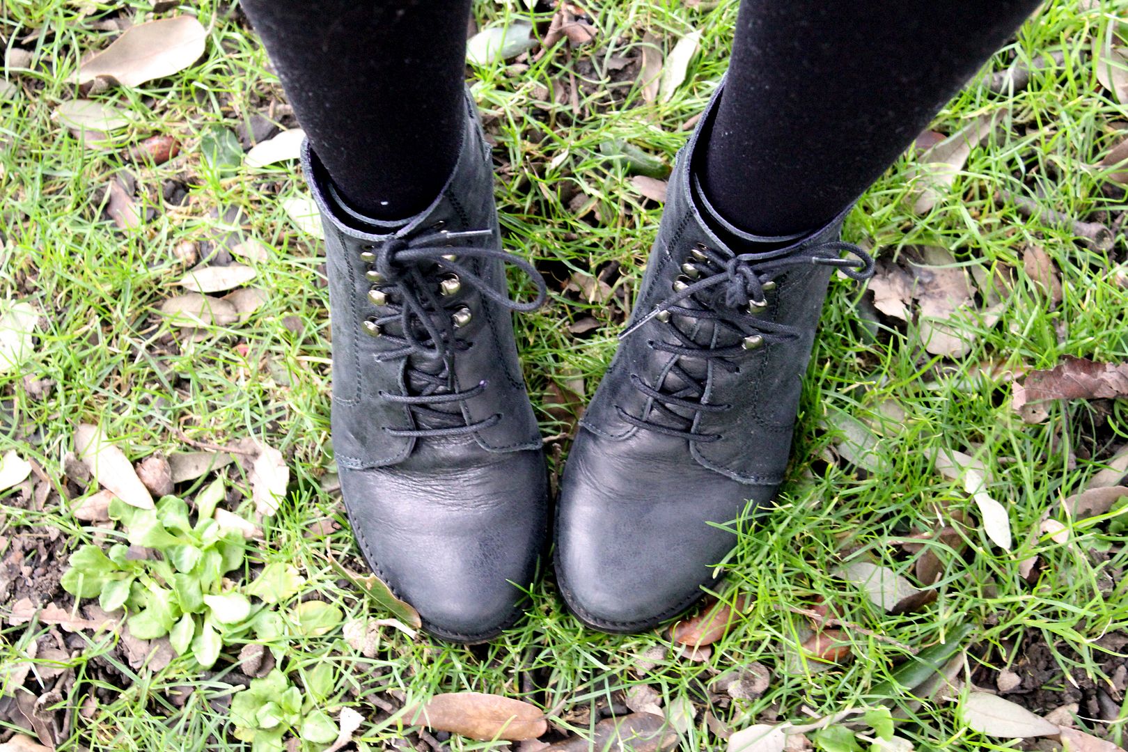  photo IMG_7654_zps4b3e6947.jpg