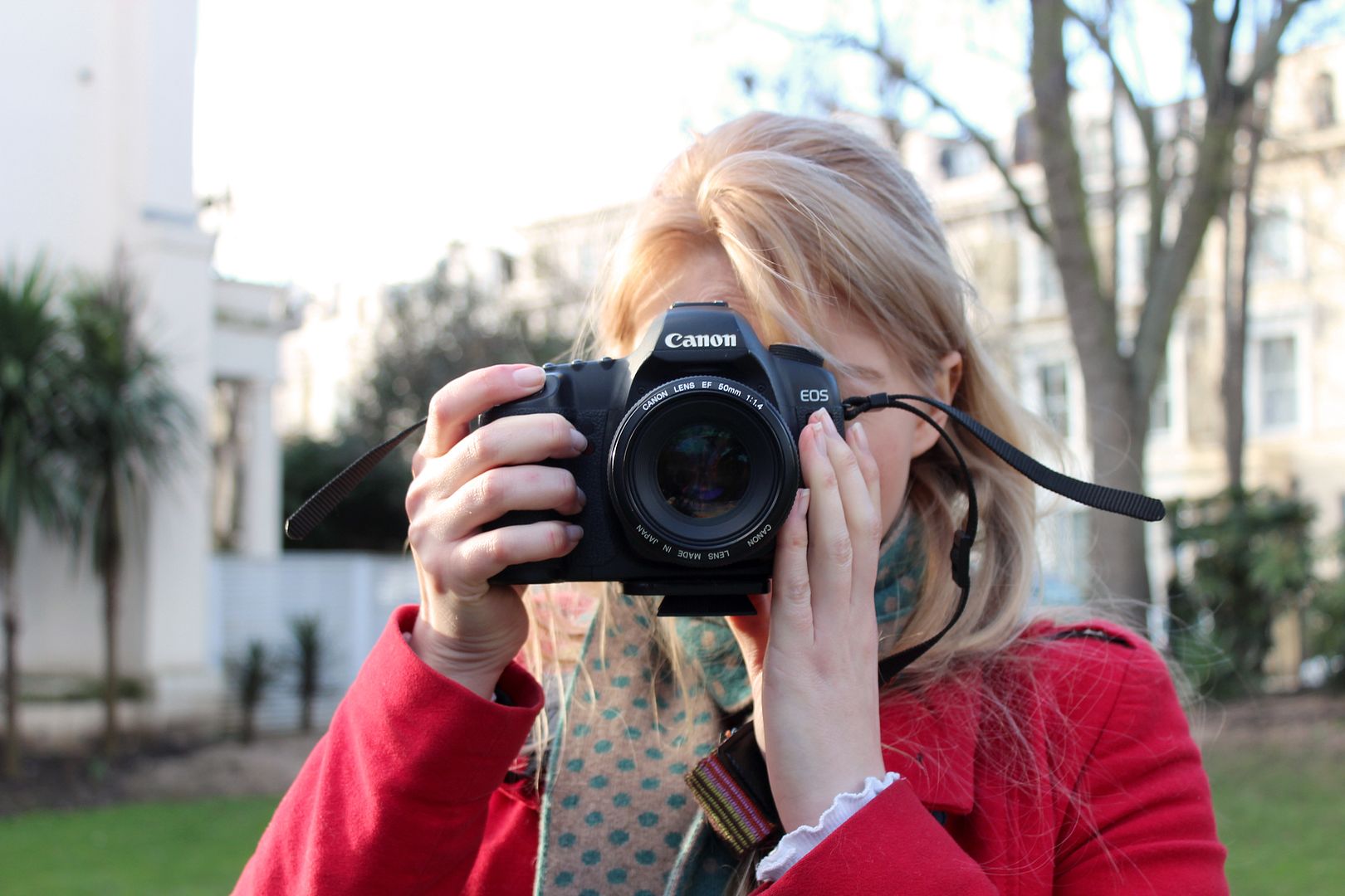  photo IMG_8130_zps32829c7e.jpg