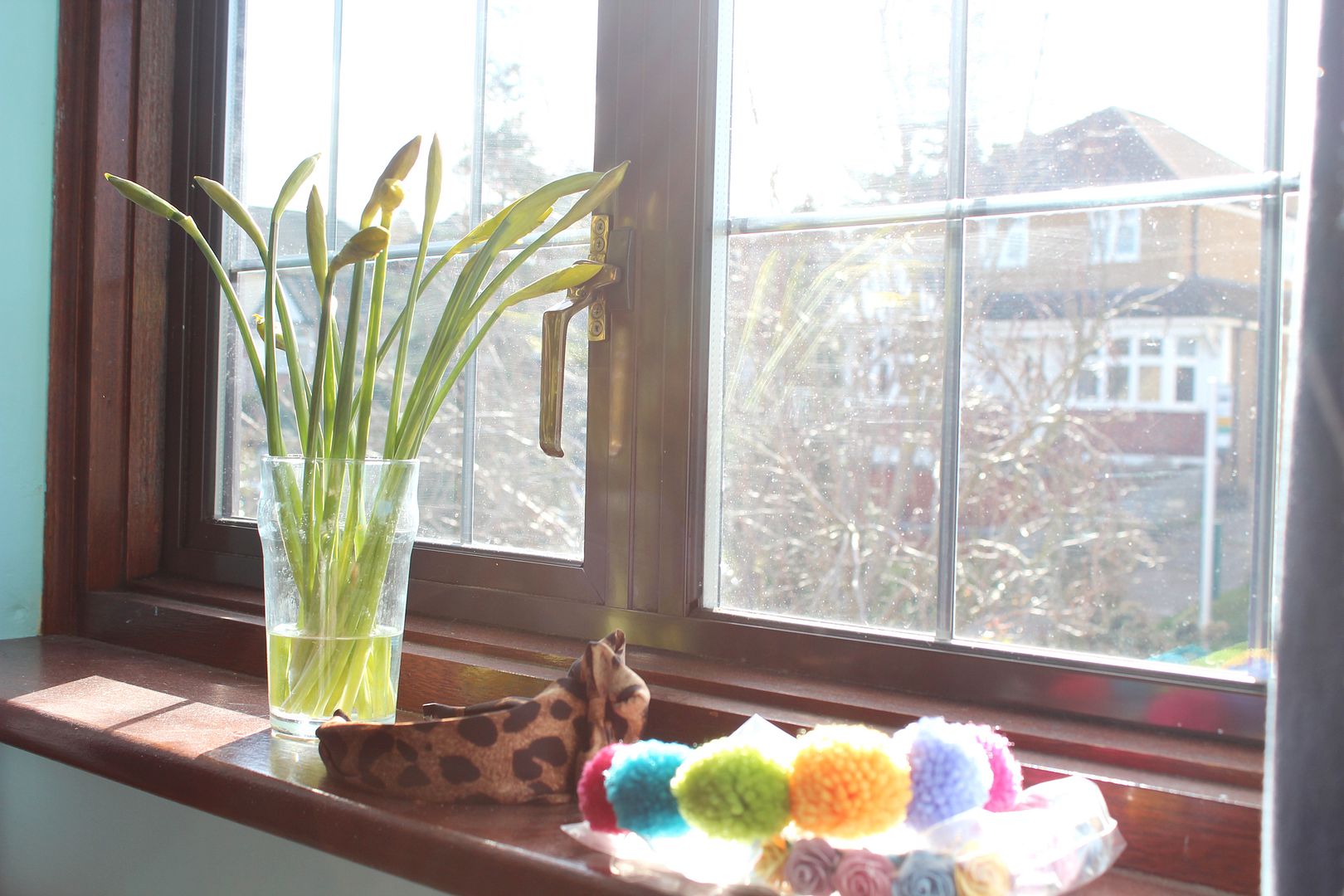 photo IMG_8164_zps80ad7379.jpg