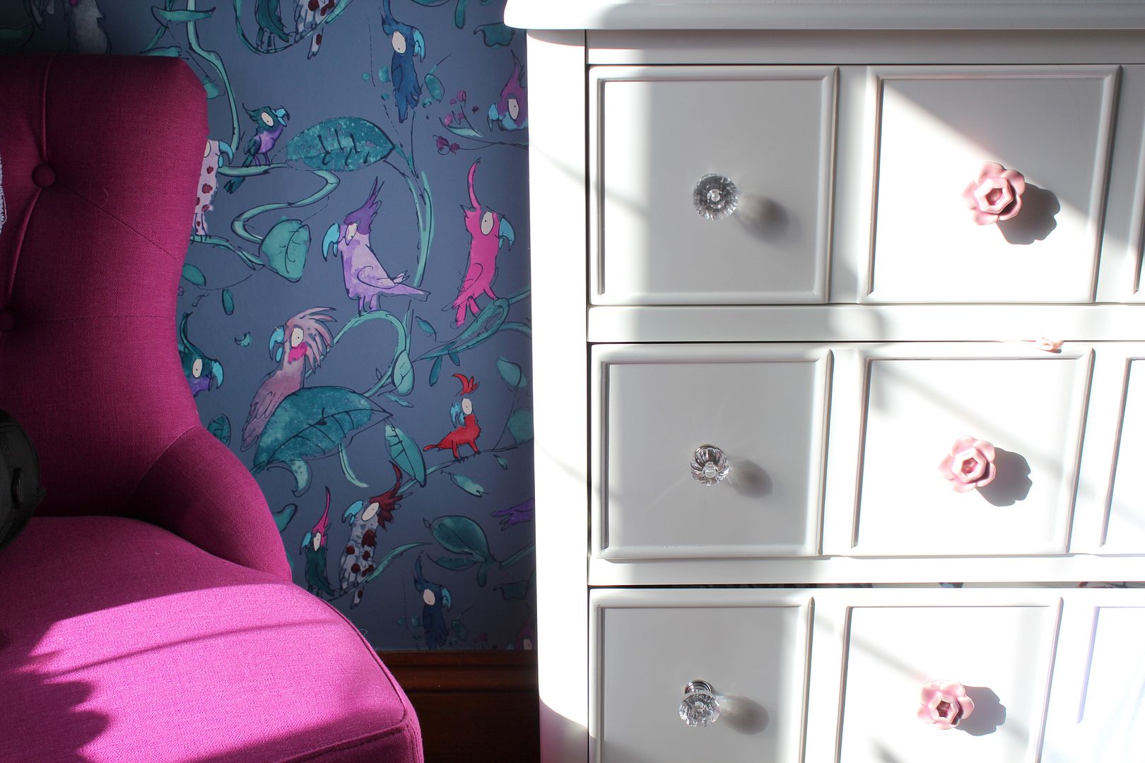 photo IMG_8167_zps4892e007.jpg