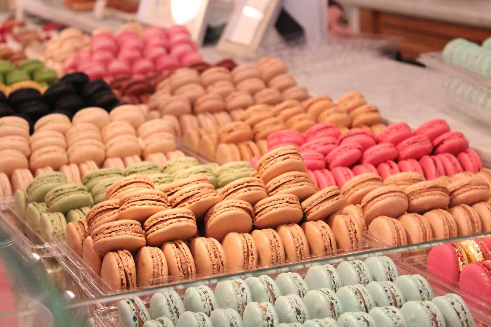  photo IMG_8410_zpsf7bde06e.jpg