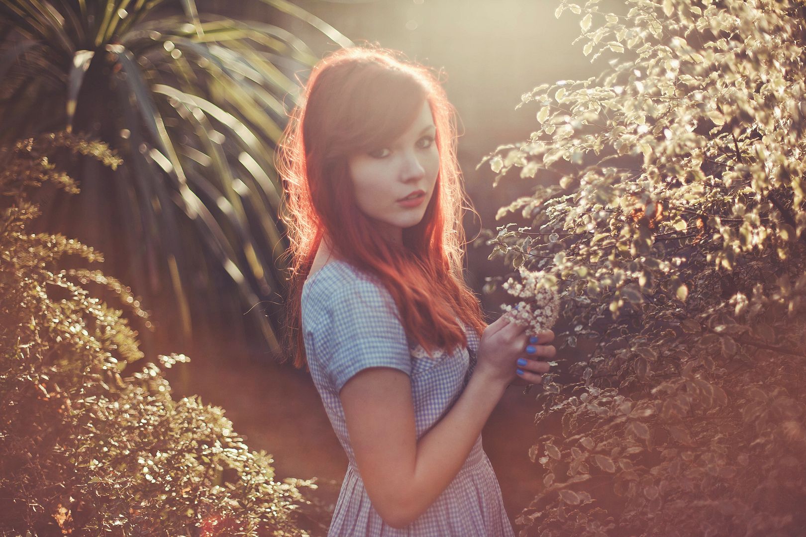 photo 1_zps48594b76.jpg