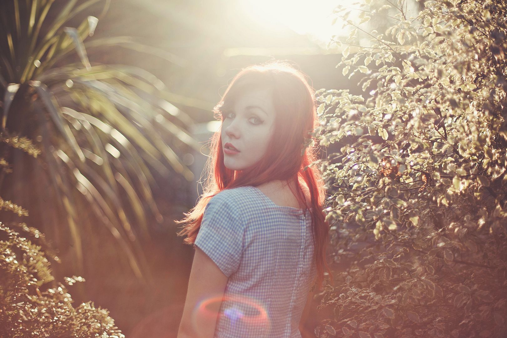 photo 2_zpsc6797f39.jpg