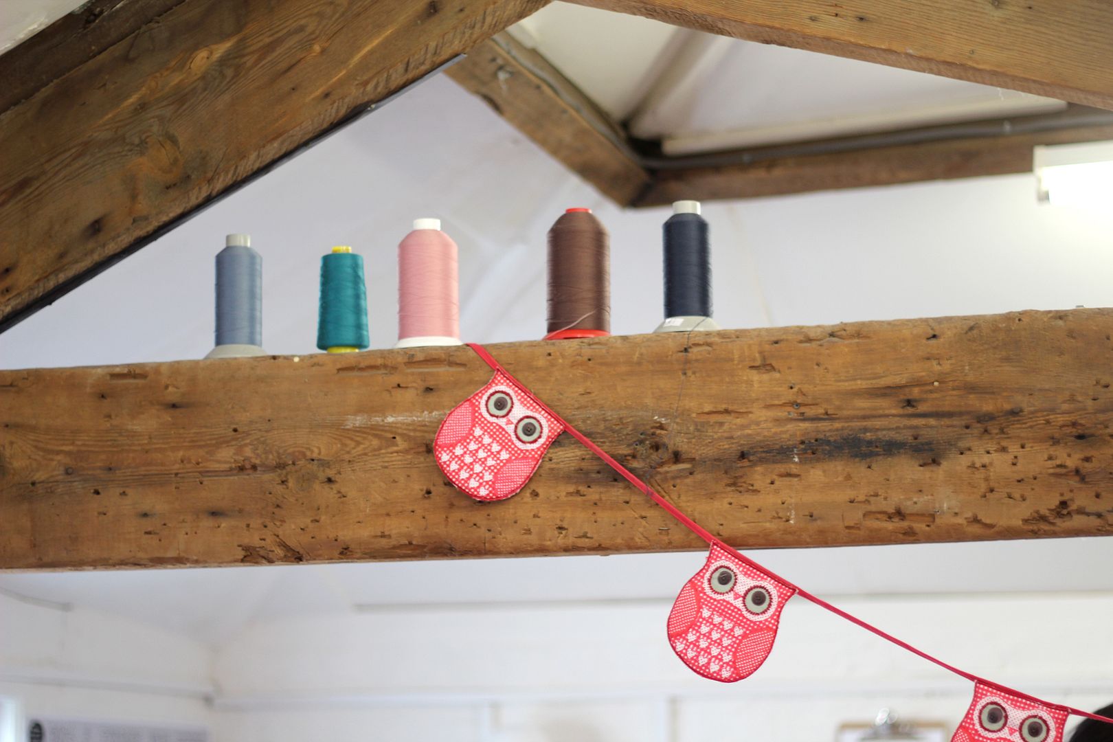  photo IMG_8517_zps0963232f.jpg