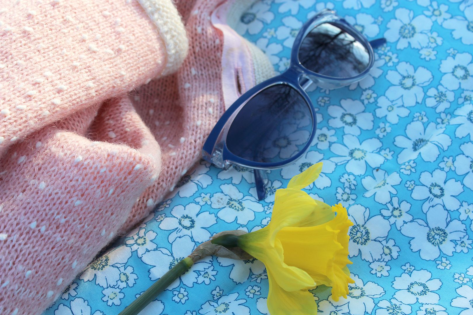  photo IMG_8742_zps3957daf4.jpg