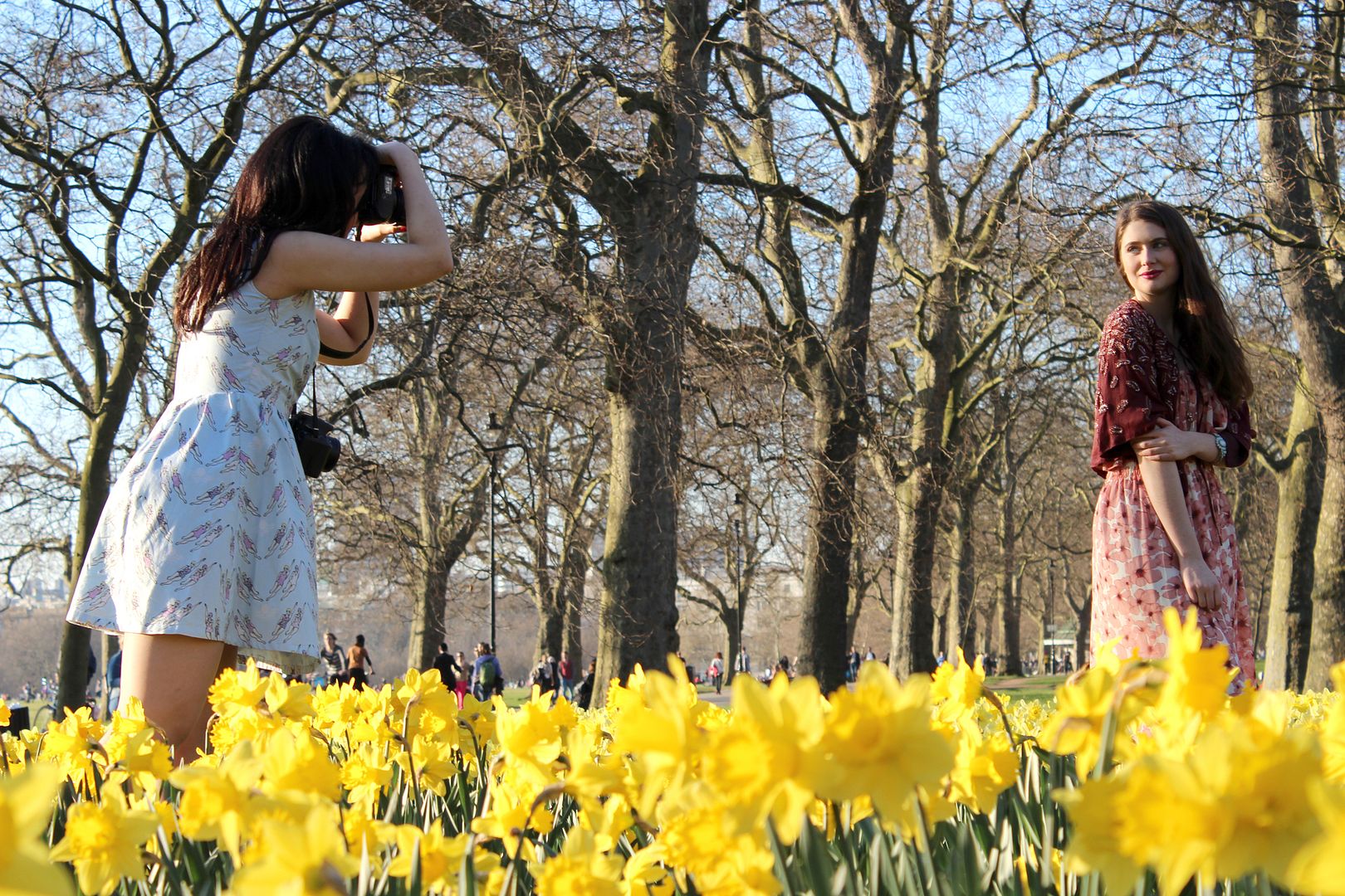  photo IMG_8757_zpsdcea85de.jpg