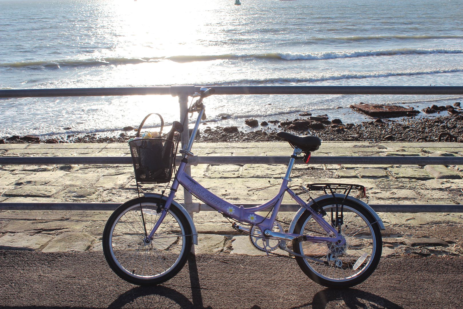  photo IMG_9021_zps616babd9.jpg