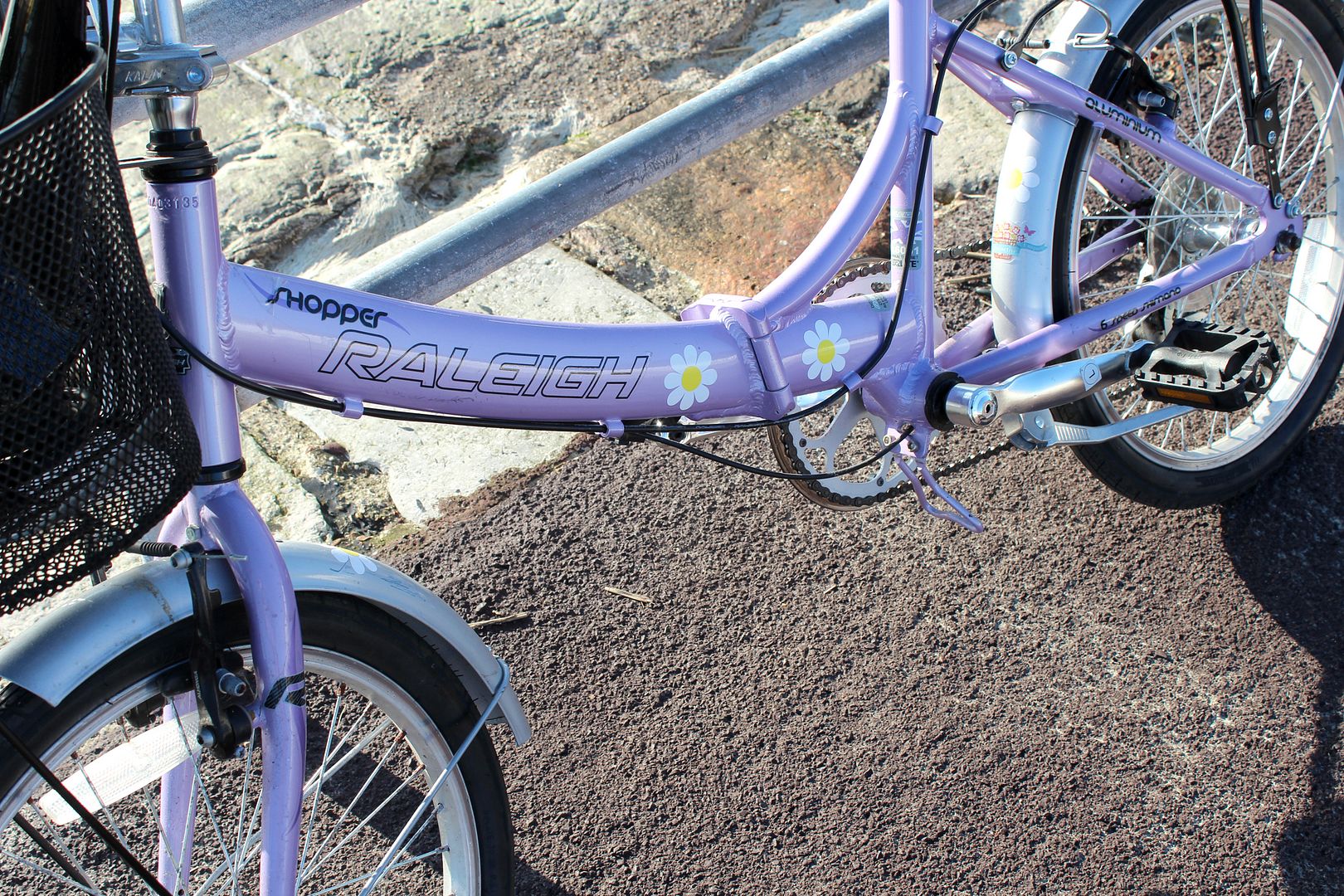  photo IMG_9025_zps8c21080d.jpg