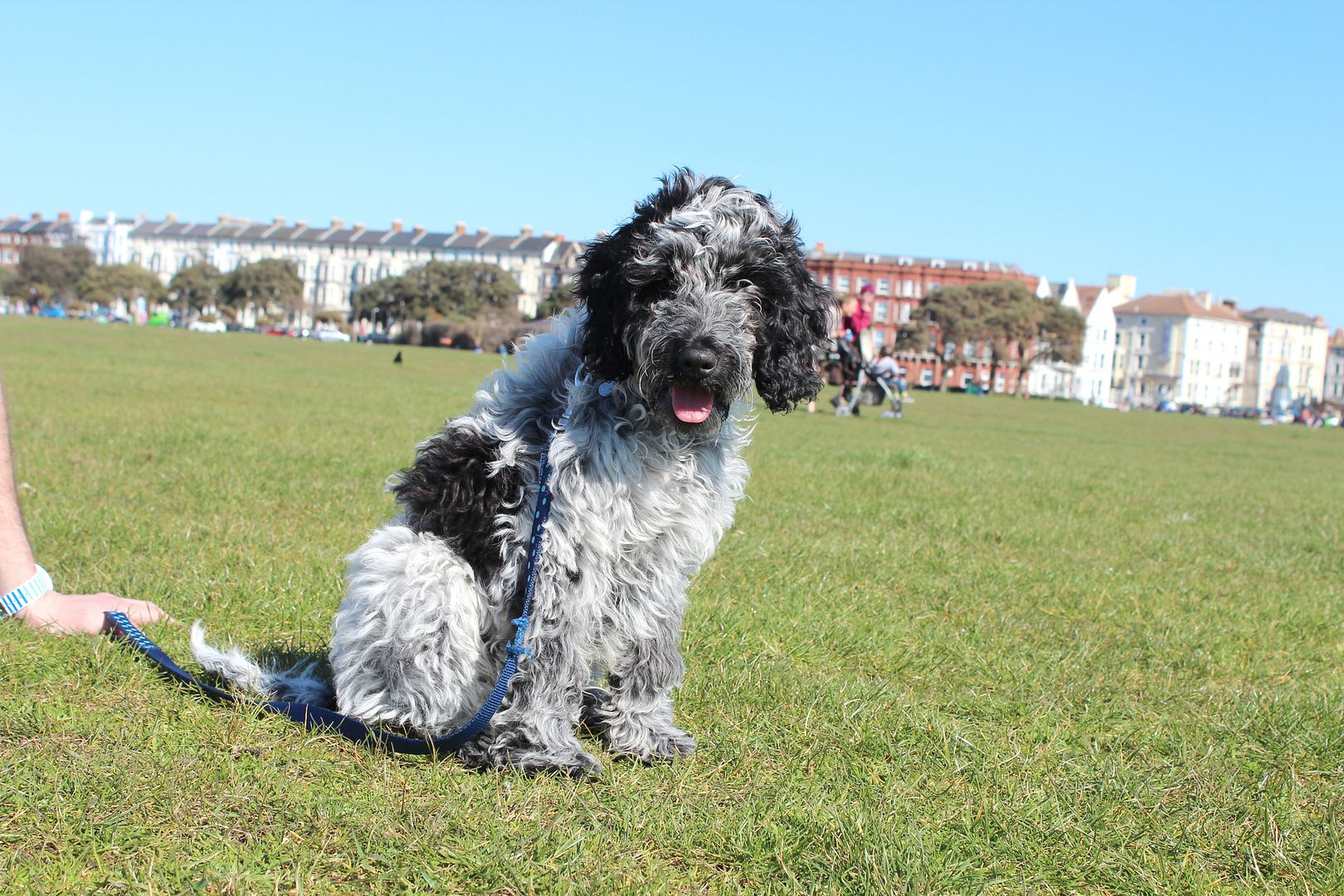  photo IMG_9144_zpsee940663.jpg