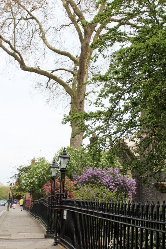  photo 32f725a9-a75d-414b-87a2-2f16dd20cc39_zps9fc8a248.jpg