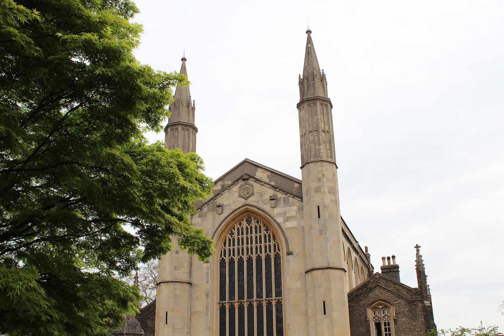  photo IMG_9729_zps10f4cf1a.jpg