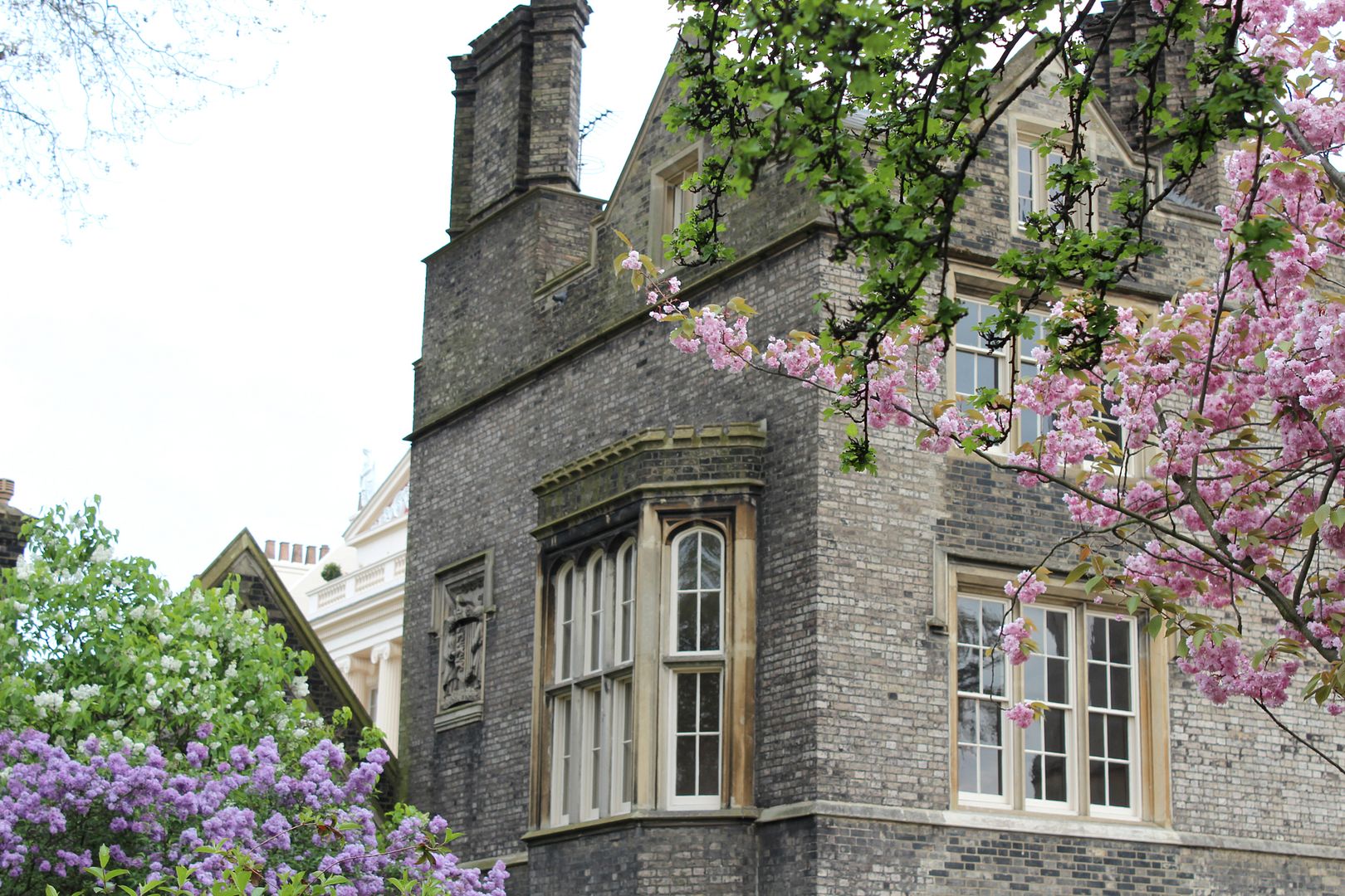  photo IMG_9731_zpsef750af3.jpg