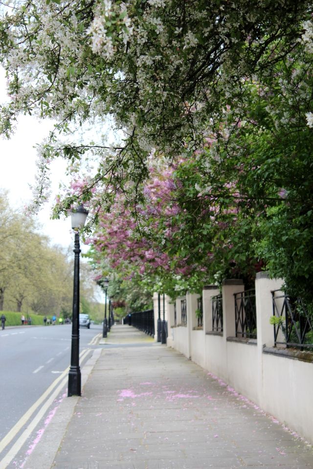  photo cea09af5-7775-44c3-bb5c-2c1aca511b38_zps357c6d3b.jpg