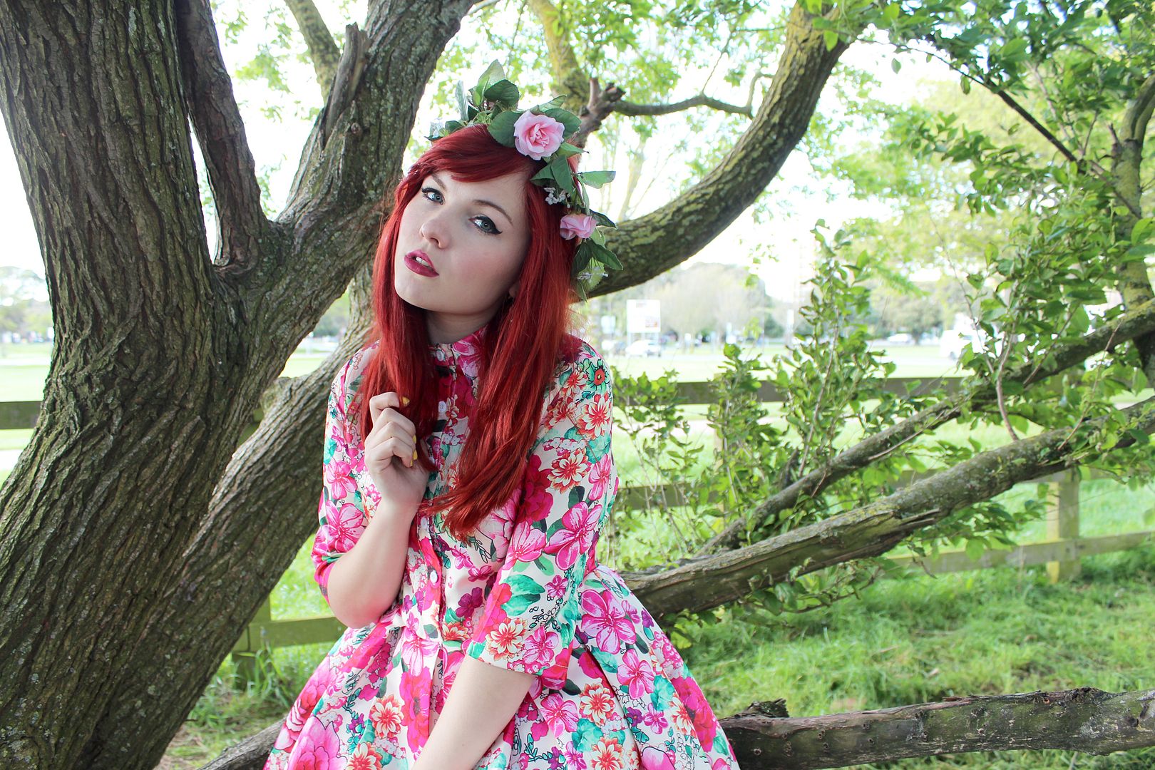  photo IMG_0696_zpse15c7971.jpg