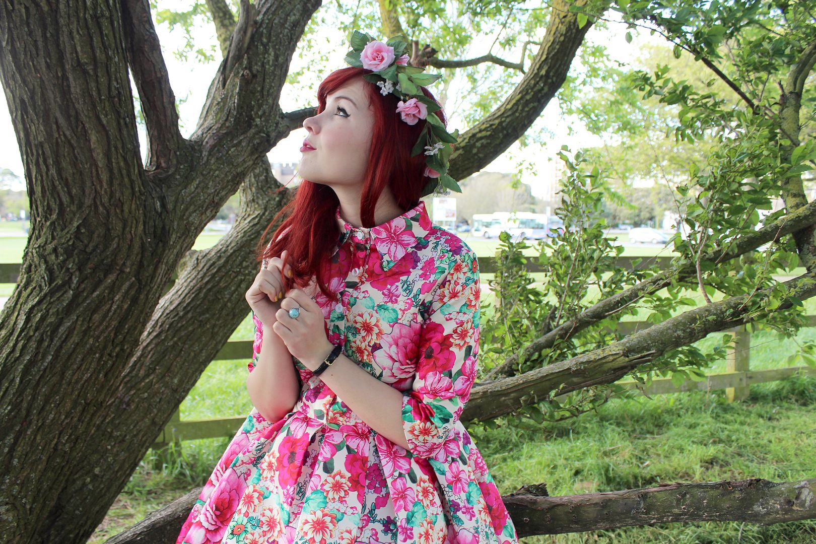  photo IMG_0702_zpscc882432.jpg