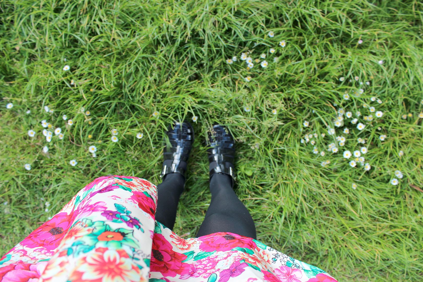  photo IMG_0725_zps48cb54b2.jpg