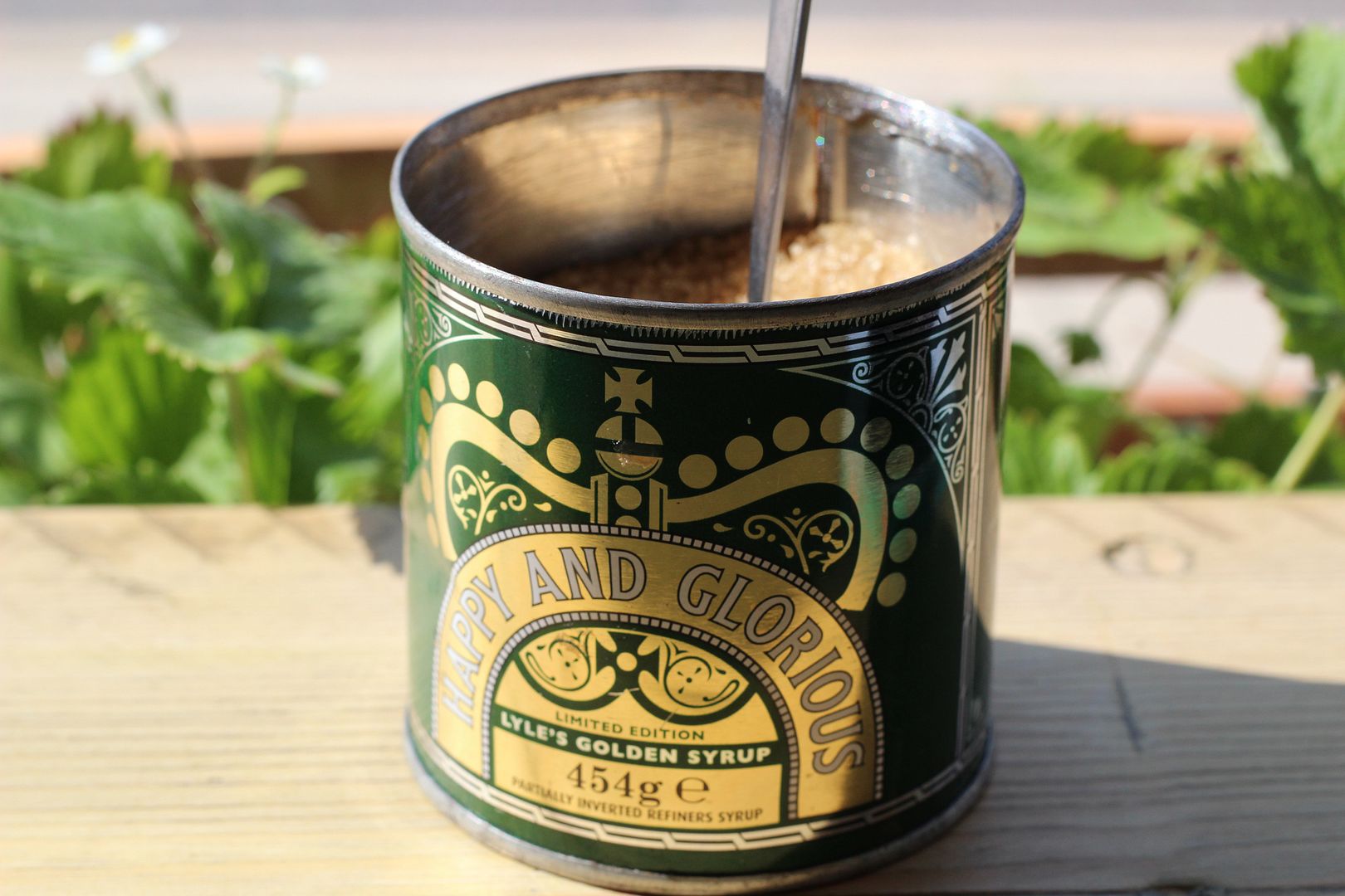  photo IMG_0894_zpsbdbe6d2d.jpg