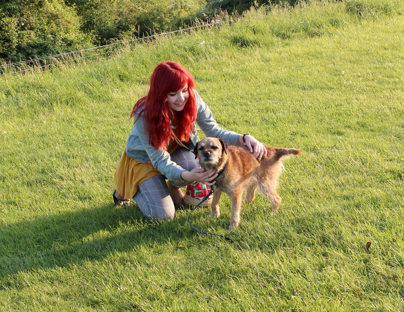  photo IMG_0846_zpsa917ef6f.jpg