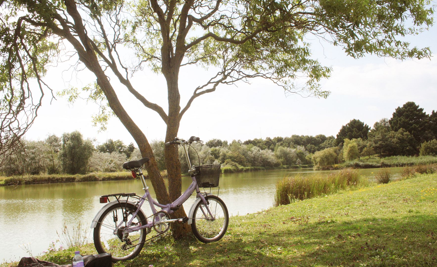  photo 800_zpsf459be8c.jpg