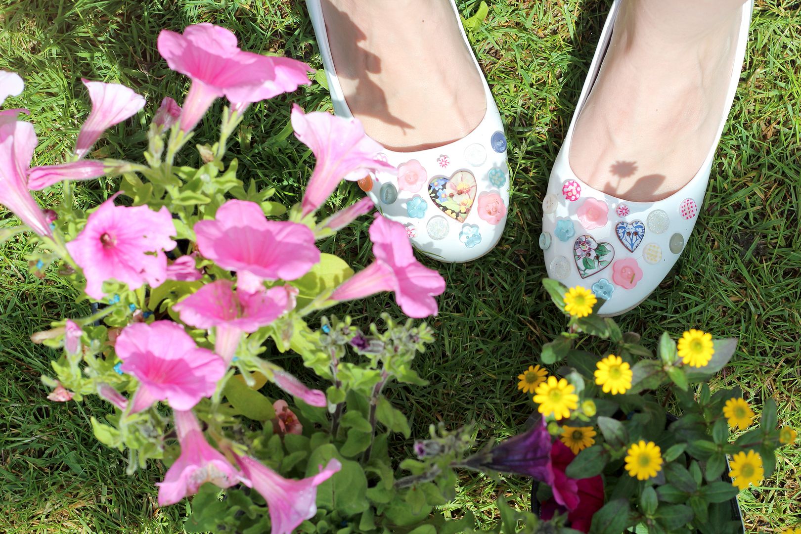 photo IMG_1432_zpsa71d4187.jpg