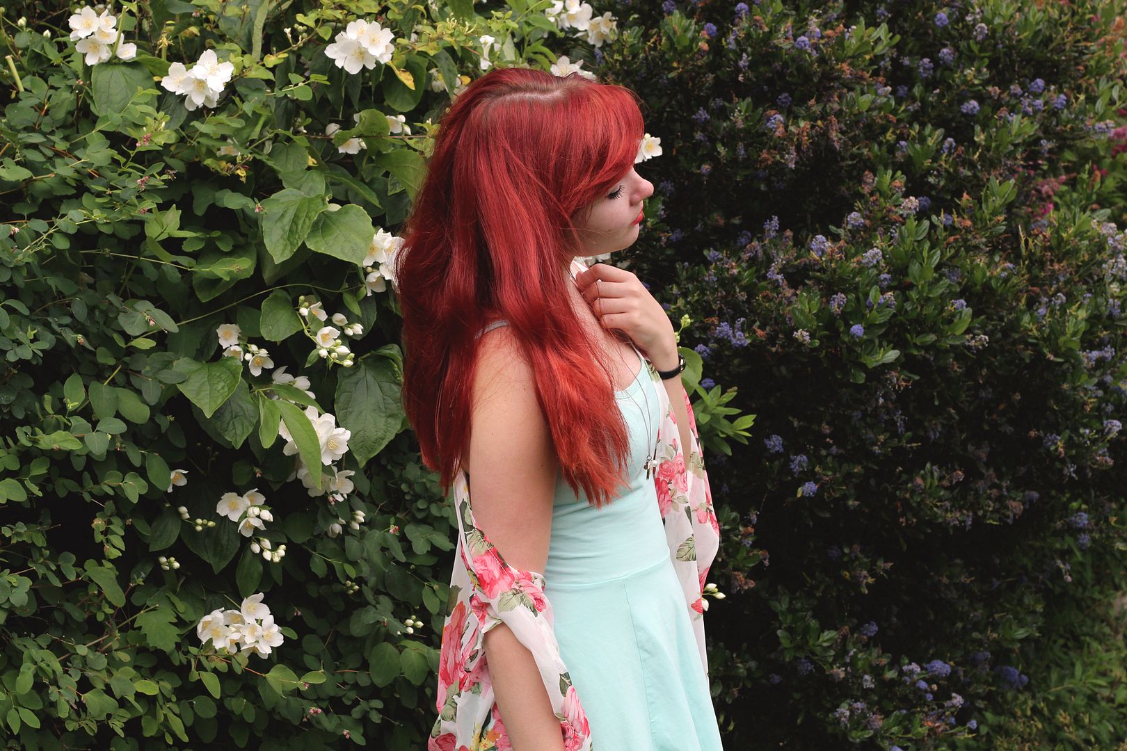  photo IMG_1604_zpsdd832233.jpg