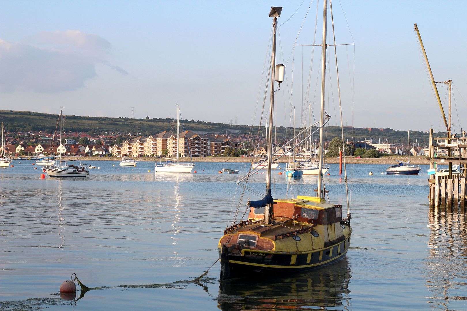  photo IMG_1709_zps66480d71.jpg