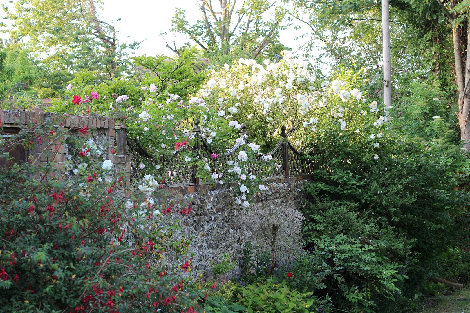  photo IMG_1732_zpsb16becfd.jpg