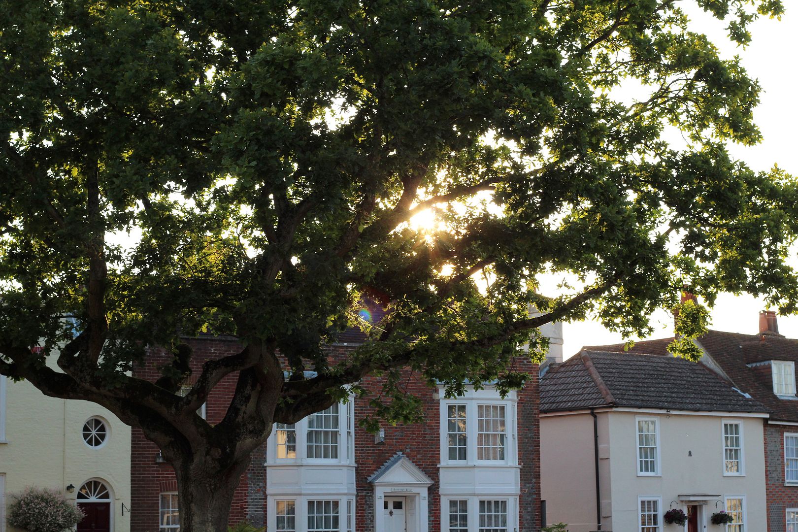  photo IMG_1733_zpsba4f5815.jpg