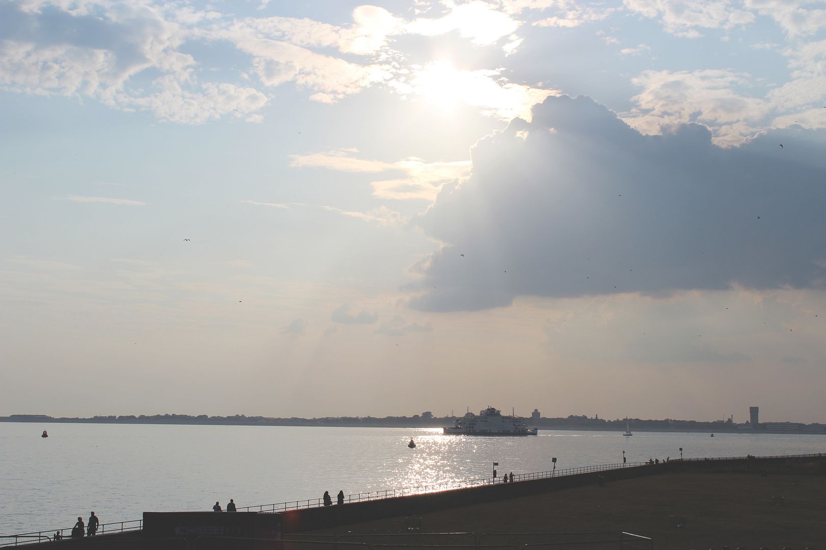  photo IMG_2207_zps9af32025.jpg